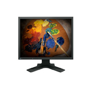 Monitor Eizo FlexScan S2100 con pie genérico de cristal reacondicionado Grado B